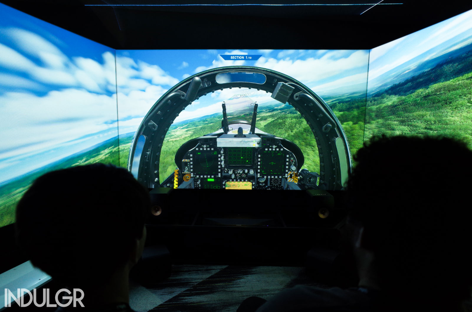 Flight Sim