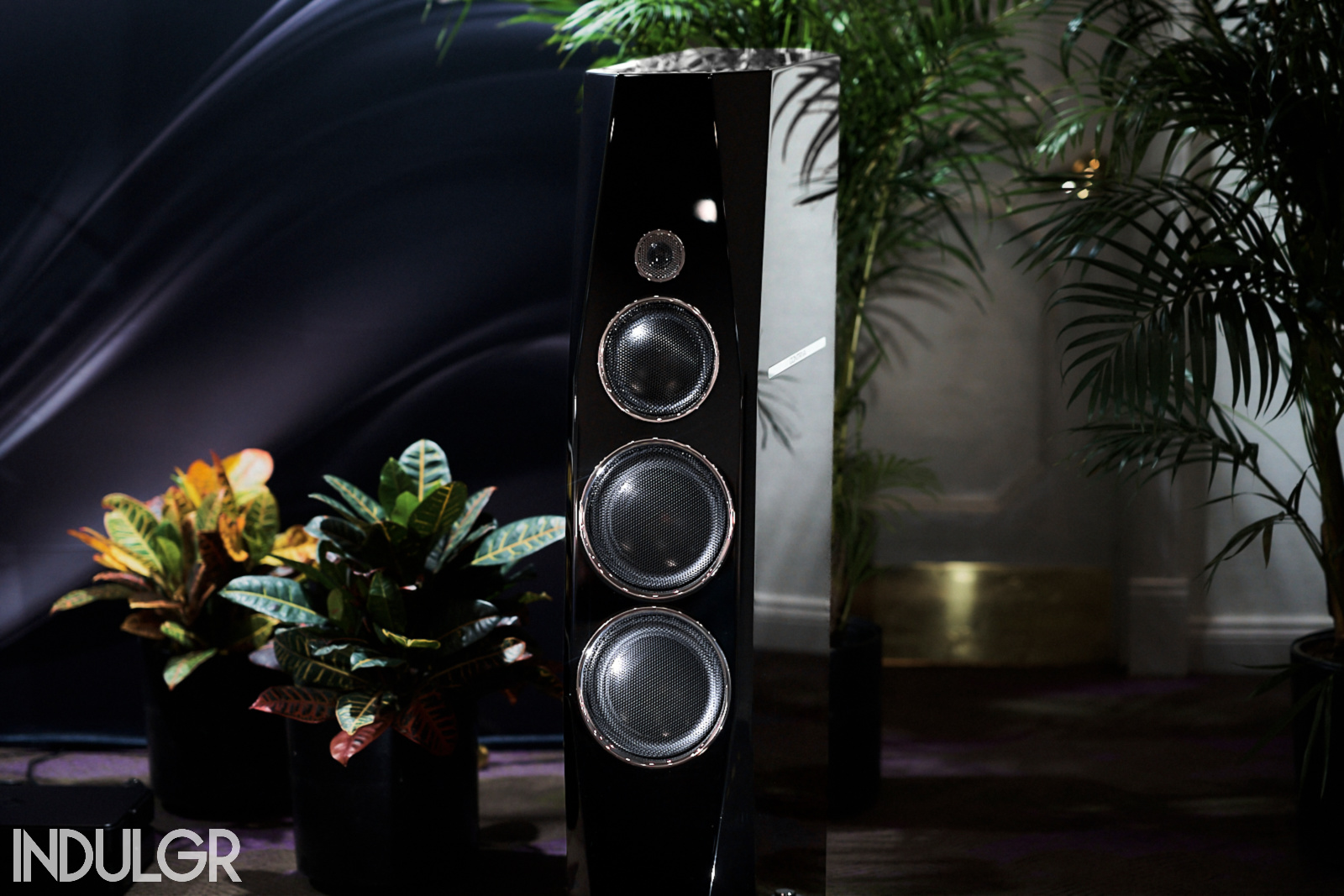 TIDAL Audio Contriva G3 with The Voice That Is! | SPOTLIGHT