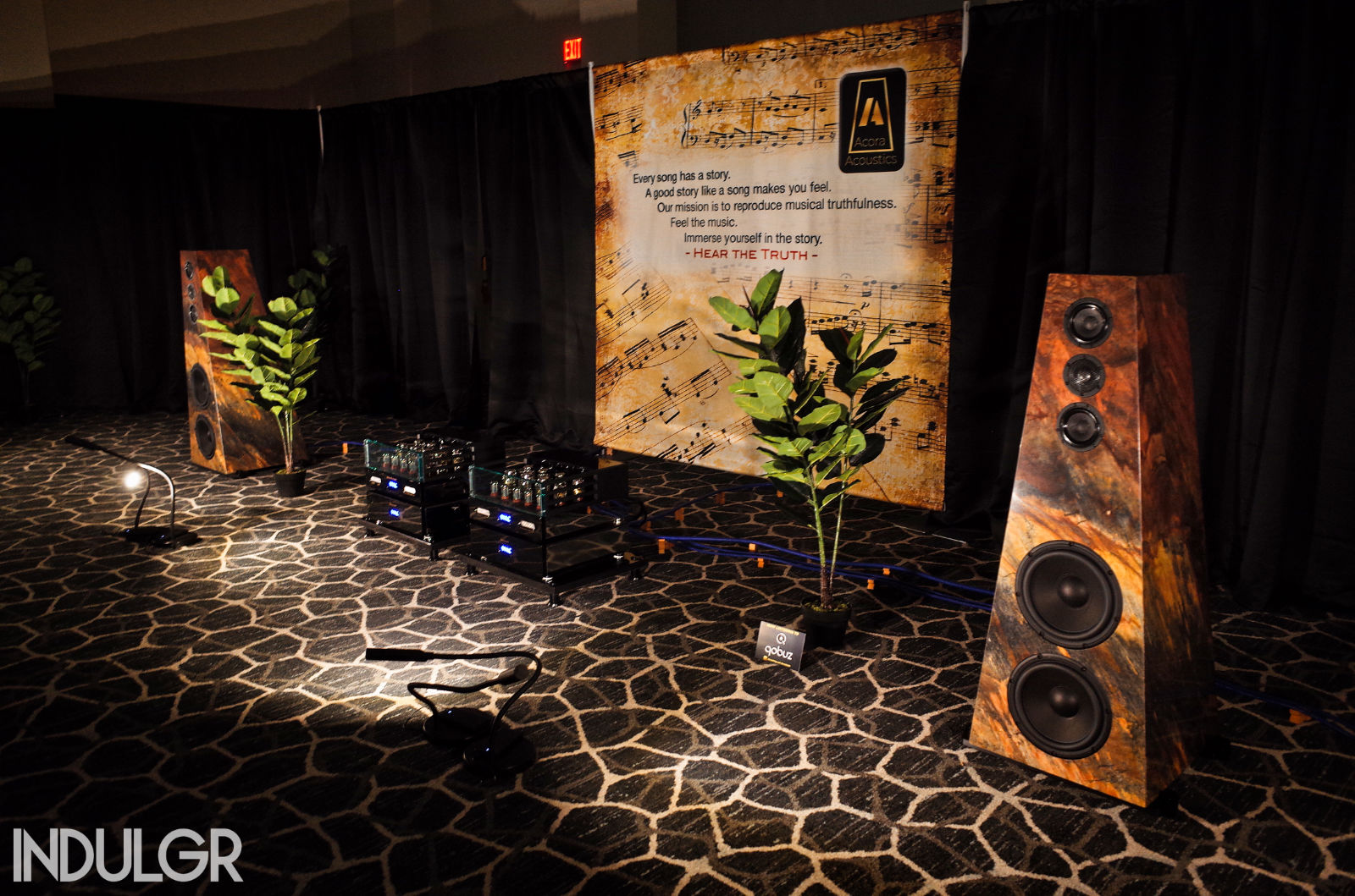 Acora Acoustics, VAC, VPI, LampizatOr, Cardas | FLAX 2024