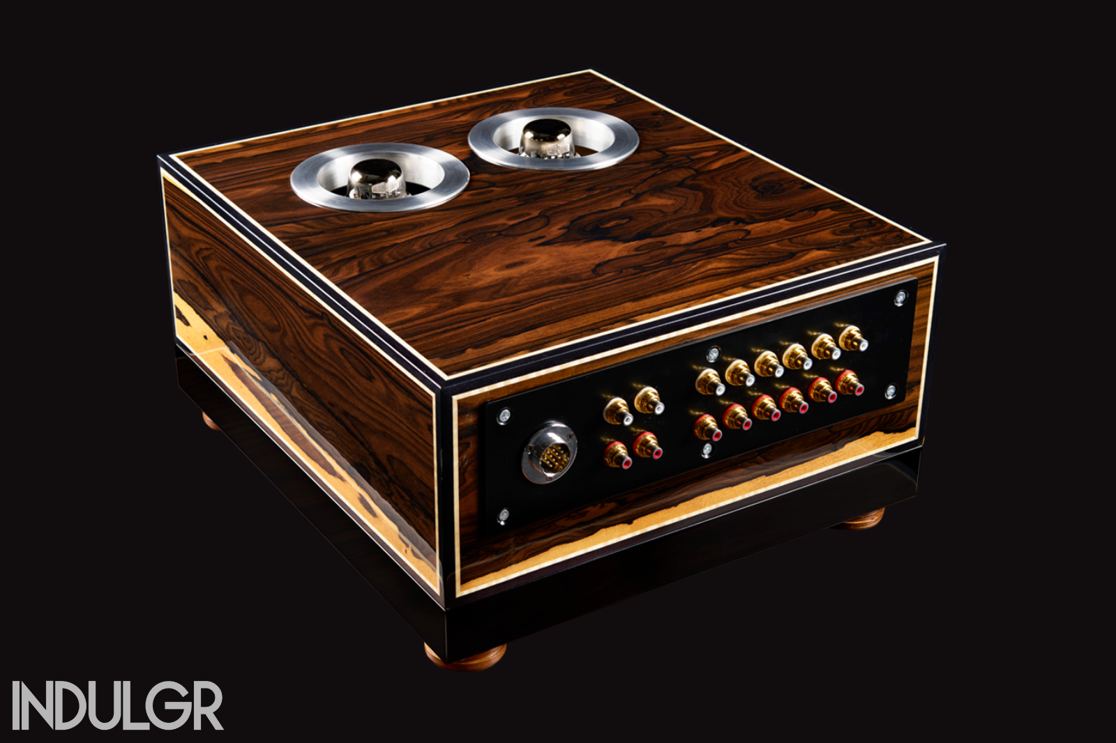 back of Lorenzo Audio Labs 2A3 preamplifier
