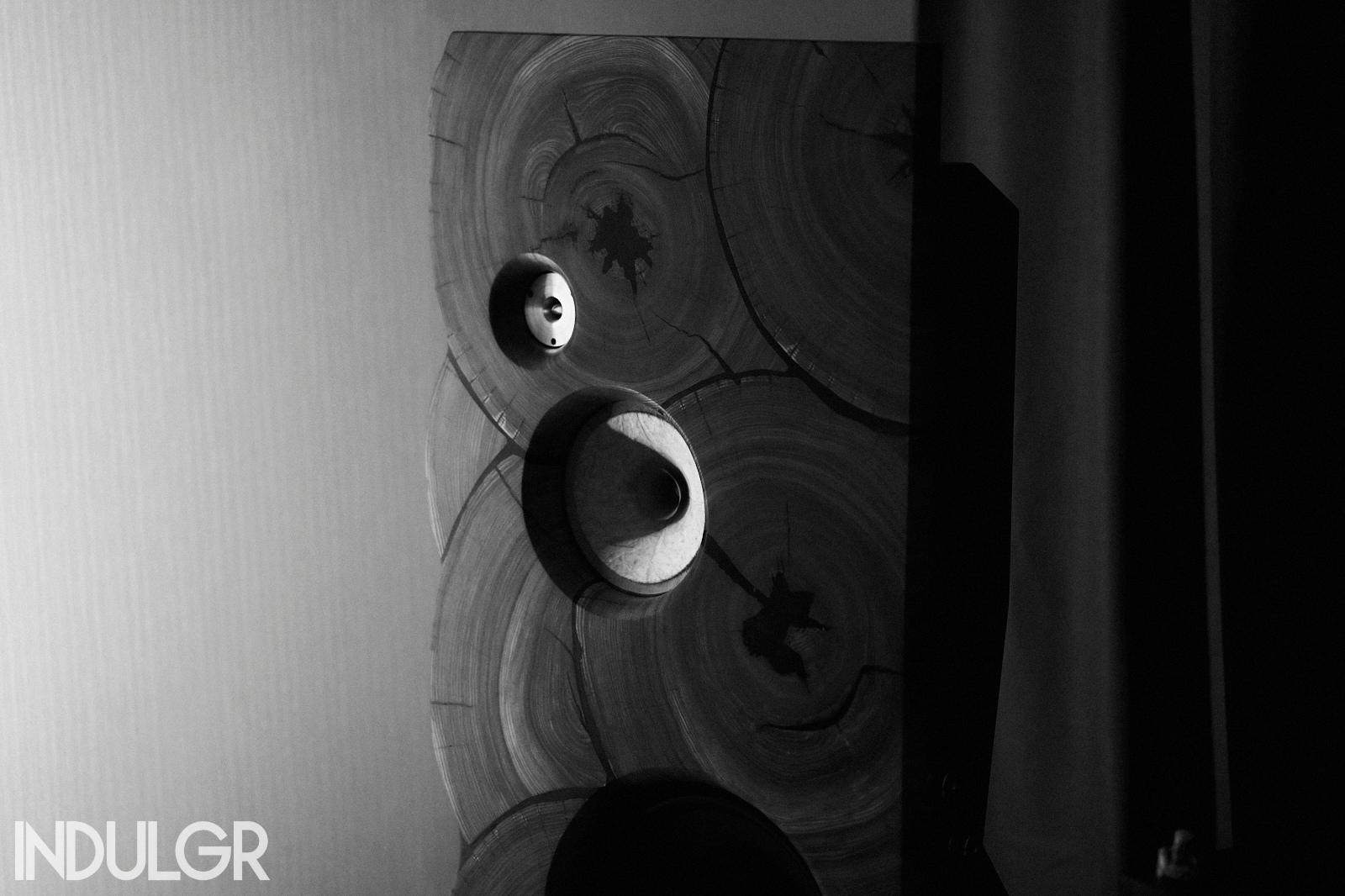 Treehaus AudioLab Speakers