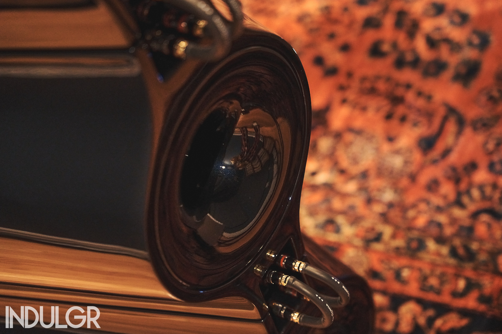 GTT Audio Dealer Event - Vivid Audio Moya